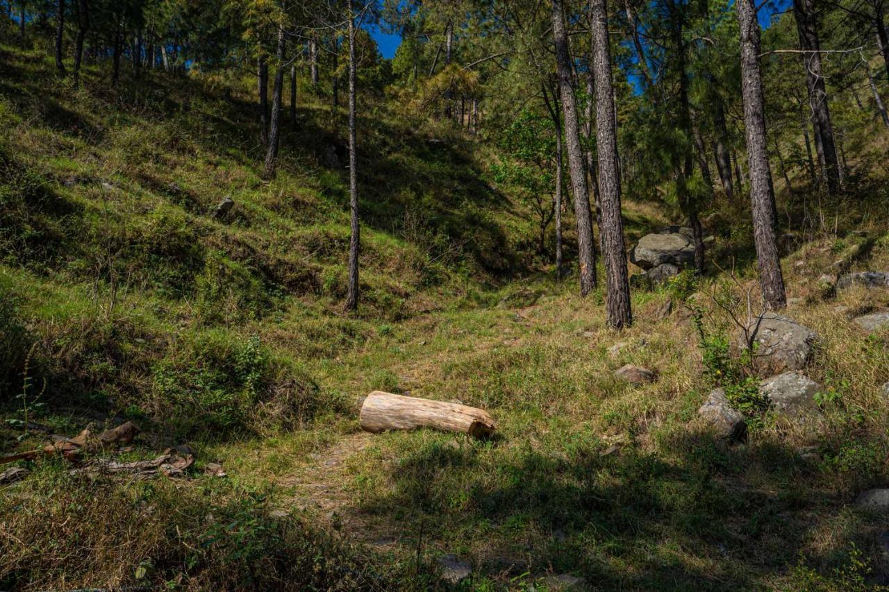 Stayvista At Floradale W Jacuzzi & Wood-Fire Pizza Kasauli Exterior foto